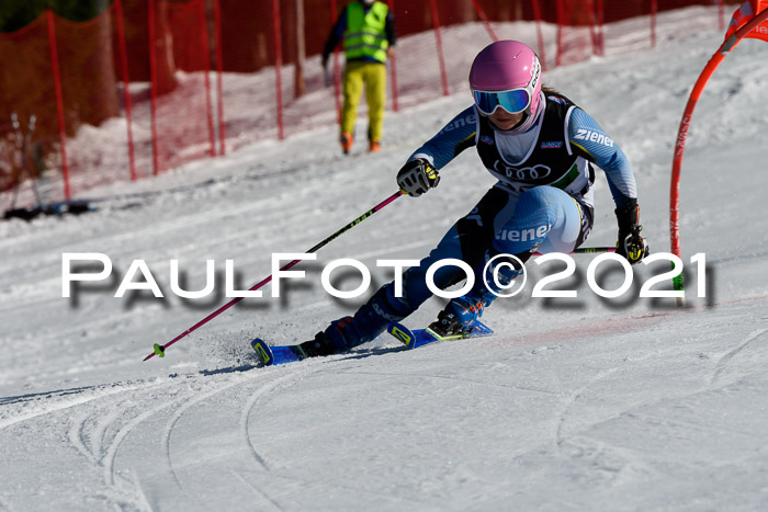 Deutsche Meisterschaft Team PSL Gudiberg 23.03.2019