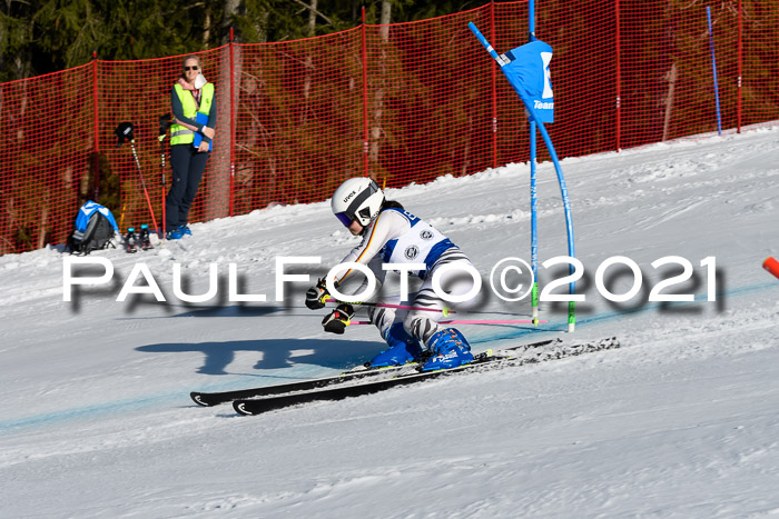 Deutsche Meisterschaft Team PSL Gudiberg 23.03.2019
