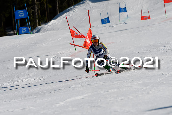 Deutsche Meisterschaft Team PSL Gudiberg 23.03.2019