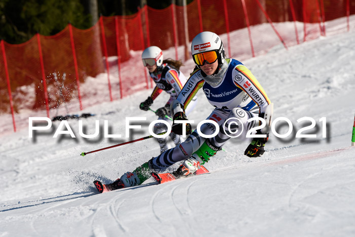 Deutsche Meisterschaft Team PSL Gudiberg 23.03.2019