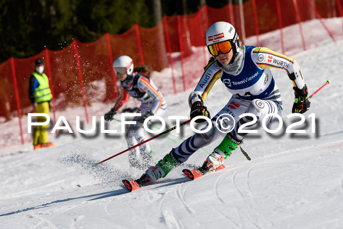 Deutsche Meisterschaft Team PSL Gudiberg 23.03.2019