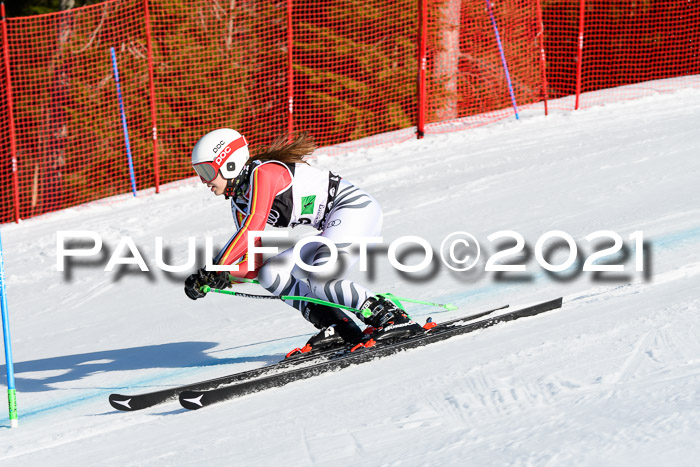 Deutsche Meisterschaft Team PSL Gudiberg 23.03.2019
