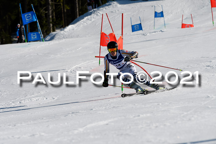 Deutsche Meisterschaft Team PSL Gudiberg 23.03.2019