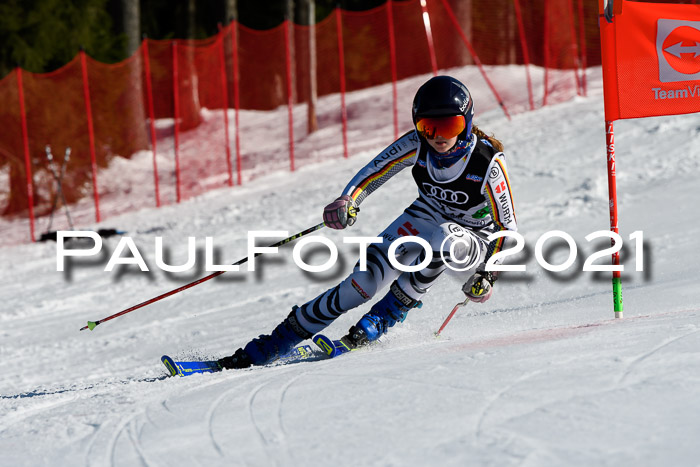 Deutsche Meisterschaft Team PSL Gudiberg 23.03.2019