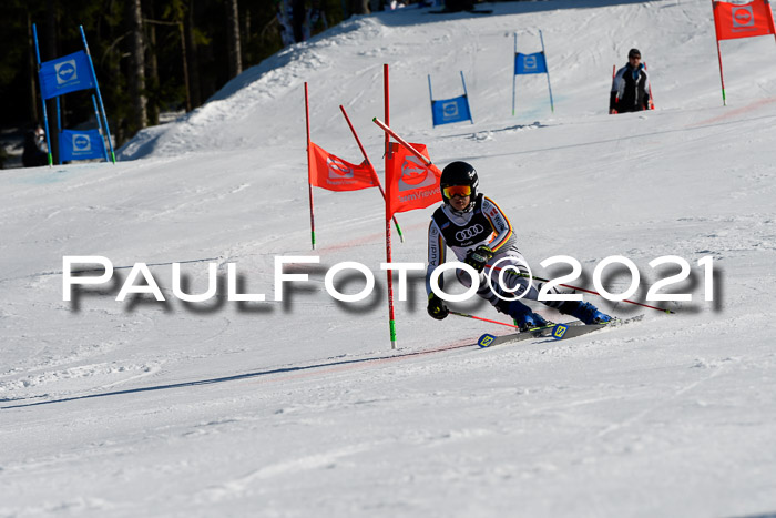 Deutsche Meisterschaft Team PSL Gudiberg 23.03.2019