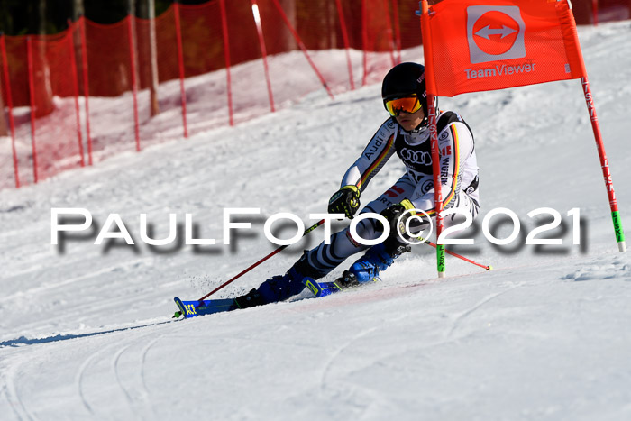 Deutsche Meisterschaft Team PSL Gudiberg 23.03.2019