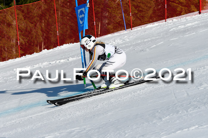 Deutsche Meisterschaft Team PSL Gudiberg 23.03.2019