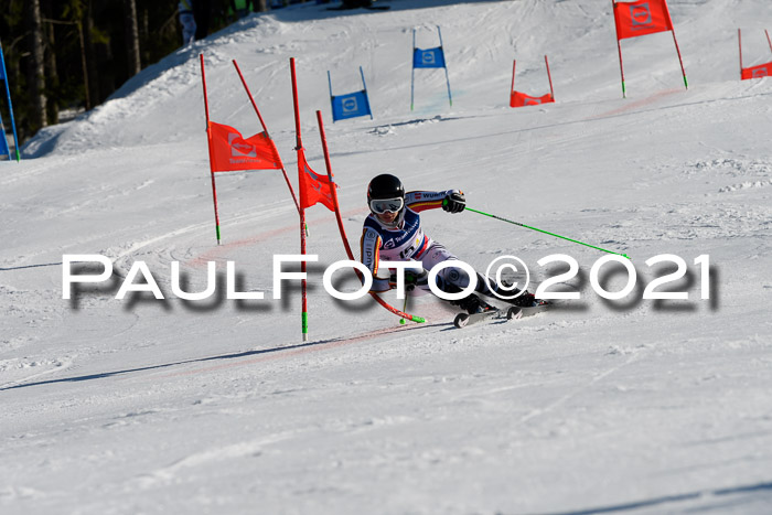 Deutsche Meisterschaft Team PSL Gudiberg 23.03.2019