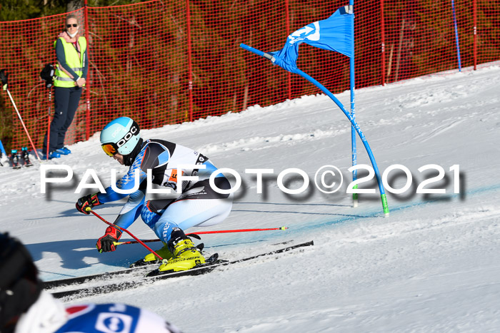 Deutsche Meisterschaft Team PSL Gudiberg 23.03.2019