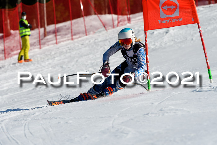 Deutsche Meisterschaft Team PSL Gudiberg 23.03.2019