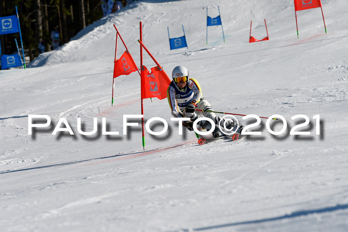 Deutsche Meisterschaft Team PSL Gudiberg 23.03.2019