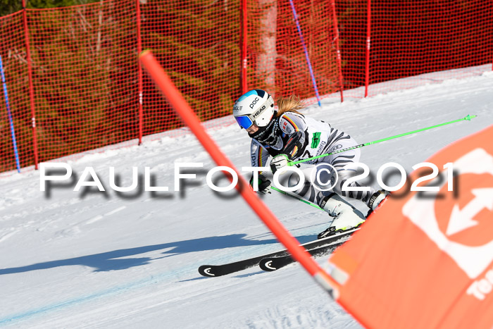 Deutsche Meisterschaft Team PSL Gudiberg 23.03.2019