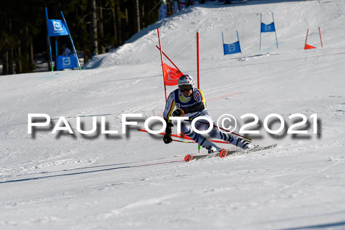 Deutsche Meisterschaft Team PSL Gudiberg 23.03.2019