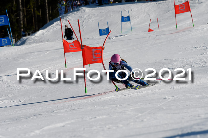Deutsche Meisterschaft Team PSL Gudiberg 23.03.2019