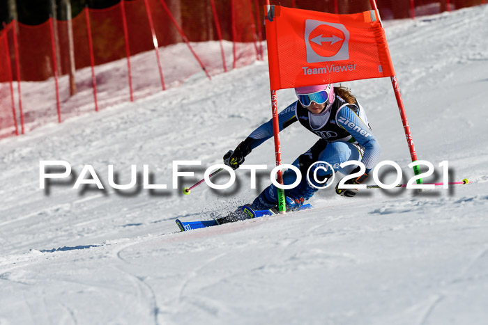 Deutsche Meisterschaft Team PSL Gudiberg 23.03.2019