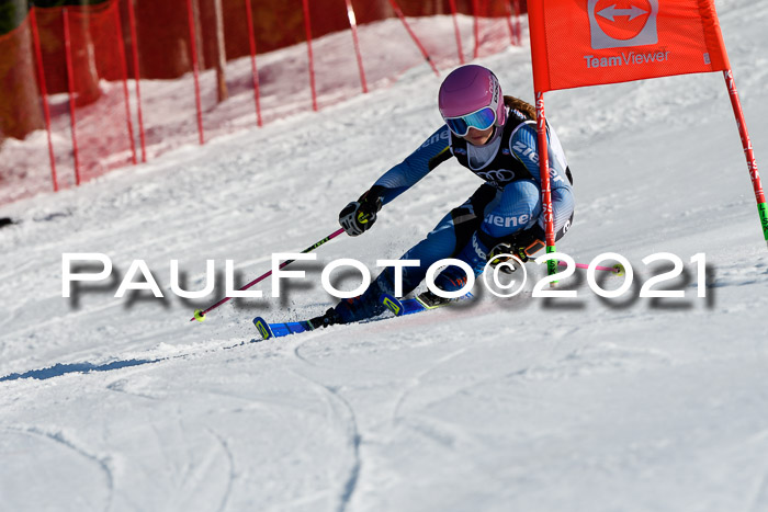 Deutsche Meisterschaft Team PSL Gudiberg 23.03.2019