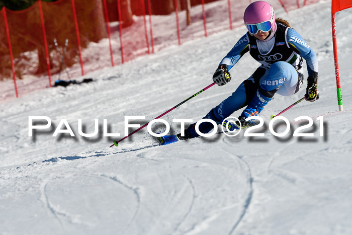 Deutsche Meisterschaft Team PSL Gudiberg 23.03.2019