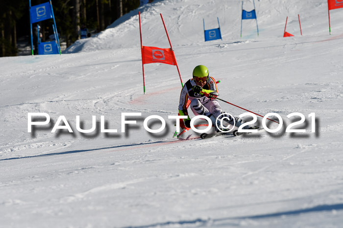 Deutsche Meisterschaft Team PSL Gudiberg 23.03.2019