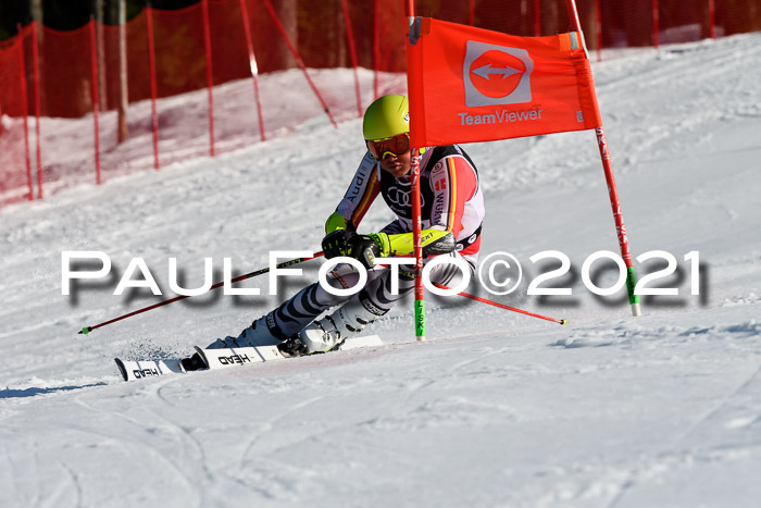 Deutsche Meisterschaft Team PSL Gudiberg 23.03.2019