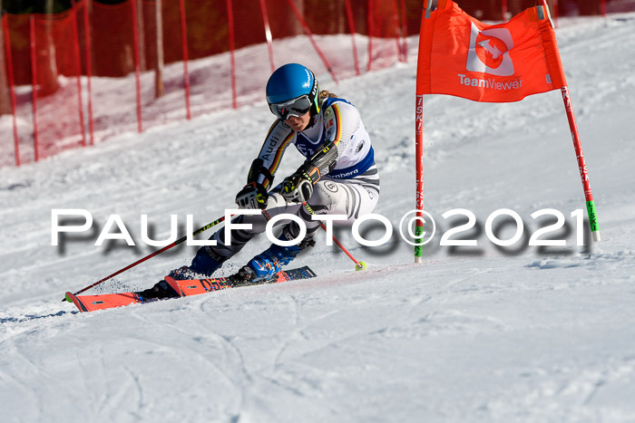 Deutsche Meisterschaft Team PSL Gudiberg 23.03.2019