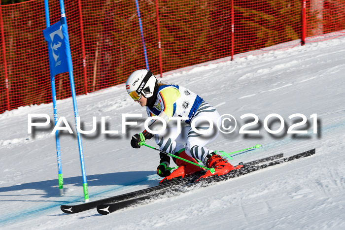 Deutsche Meisterschaft Team PSL Gudiberg 23.03.2019