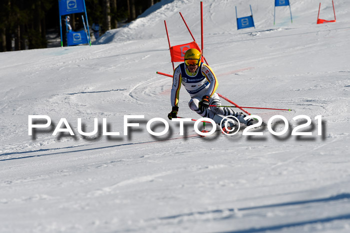 Deutsche Meisterschaft Team PSL Gudiberg 23.03.2019