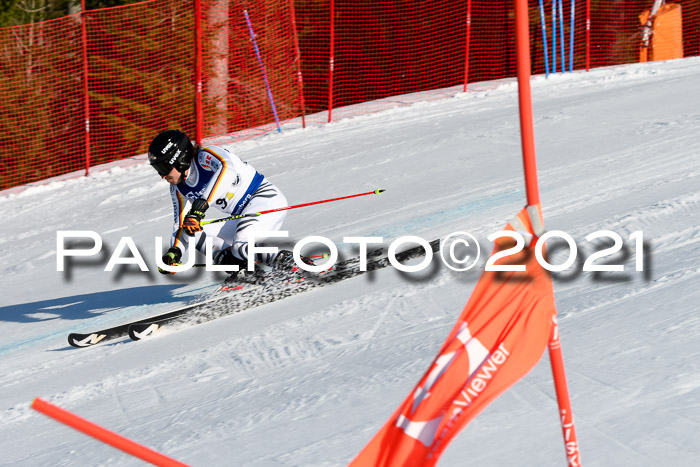 Deutsche Meisterschaft Team PSL Gudiberg 23.03.2019