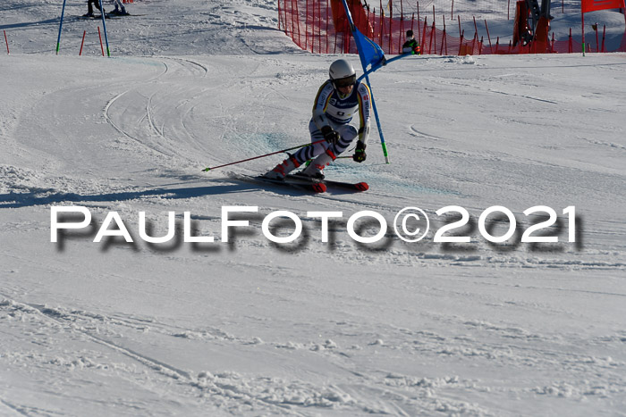 Deutsche Meisterschaft Team PSL Gudiberg 23.03.2019
