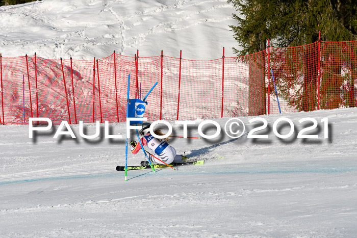 Deutsche Meisterschaft Team PSL Gudiberg 23.03.2019