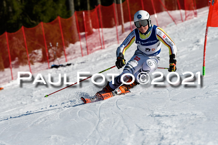 Deutsche Meisterschaft Team PSL Gudiberg 23.03.2019