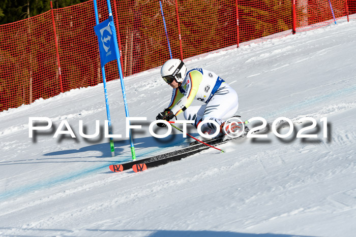 Deutsche Meisterschaft Team PSL Gudiberg 23.03.2019
