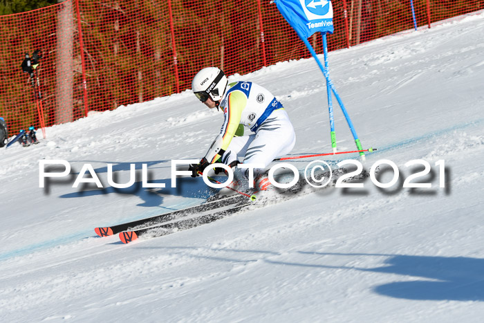Deutsche Meisterschaft Team PSL Gudiberg 23.03.2019