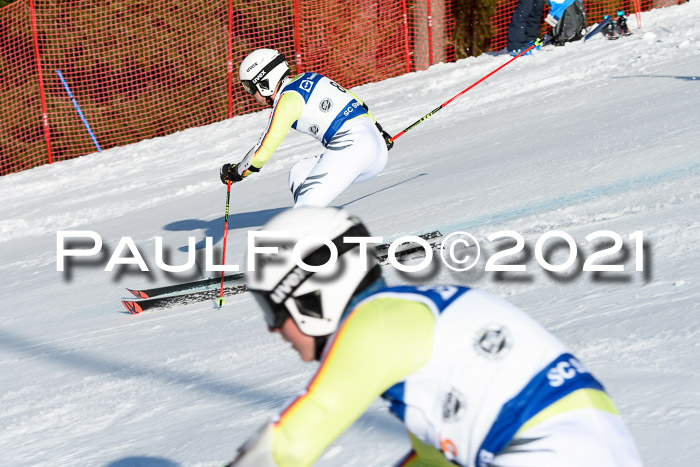 Deutsche Meisterschaft Team PSL Gudiberg 23.03.2019