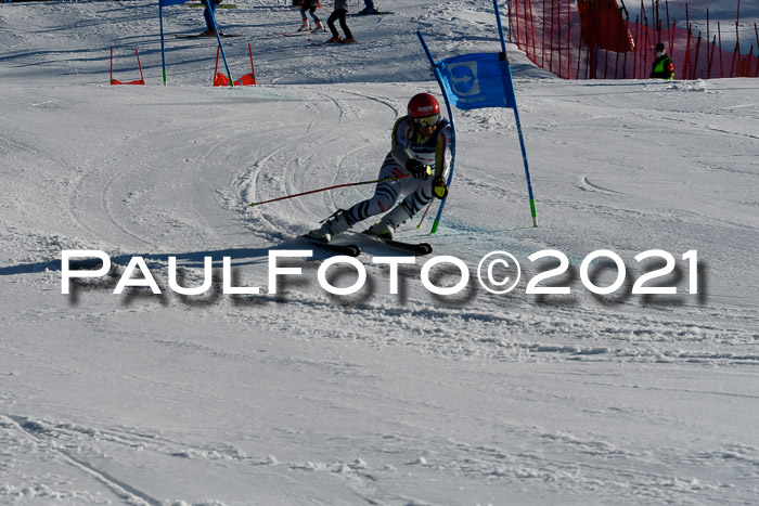 Deutsche Meisterschaft Team PSL Gudiberg 23.03.2019