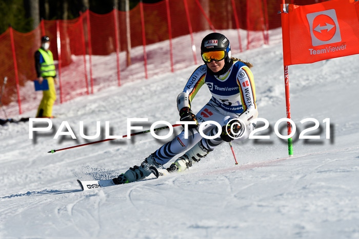 Deutsche Meisterschaft Team PSL Gudiberg 23.03.2019