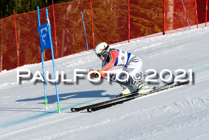 Deutsche Meisterschaft Team PSL Gudiberg 23.03.2019