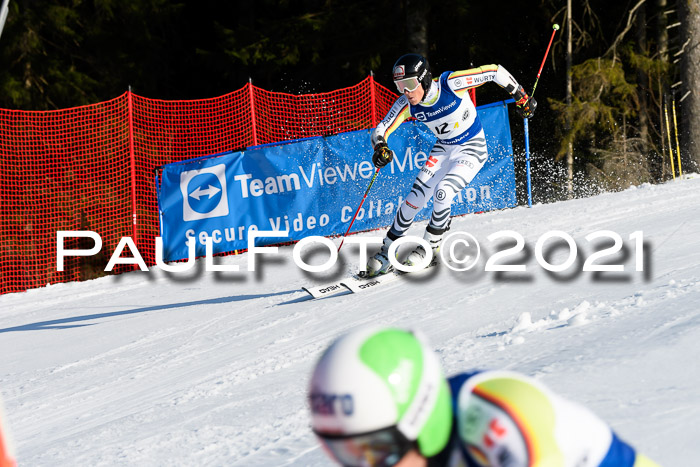 Deutsche Meisterschaft Team PSL Gudiberg 23.03.2019