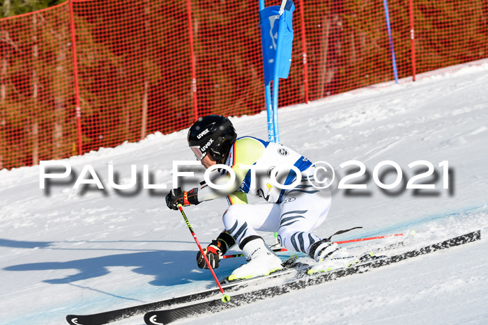 Deutsche Meisterschaft Team PSL Gudiberg 23.03.2019