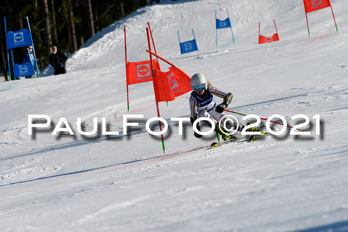 Deutsche Meisterschaft Team PSL Gudiberg 23.03.2019