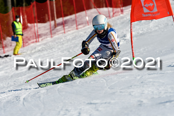 Deutsche Meisterschaft Team PSL Gudiberg 23.03.2019