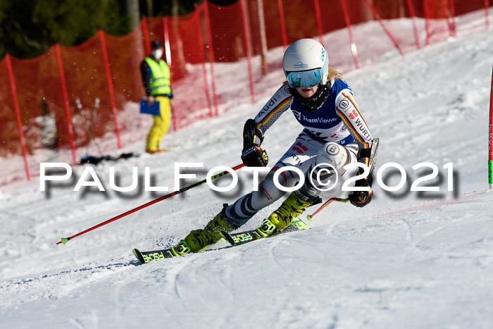 Deutsche Meisterschaft Team PSL Gudiberg 23.03.2019