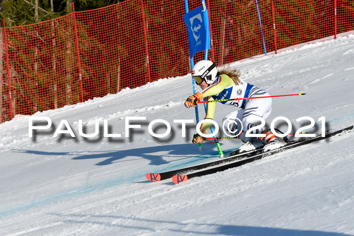 Deutsche Meisterschaft Team PSL Gudiberg 23.03.2019