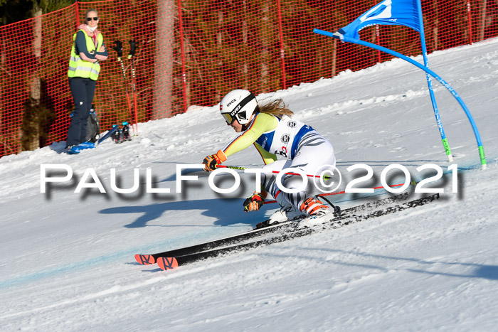 Deutsche Meisterschaft Team PSL Gudiberg 23.03.2019