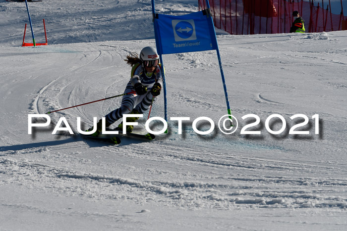 Deutsche Meisterschaft Team PSL Gudiberg 23.03.2019