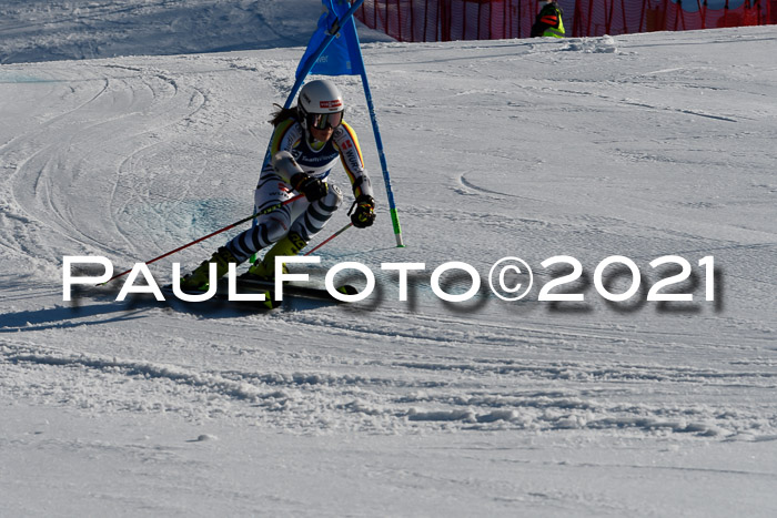 Deutsche Meisterschaft Team PSL Gudiberg 23.03.2019