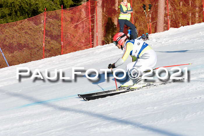 Deutsche Meisterschaft Team PSL Gudiberg 23.03.2019