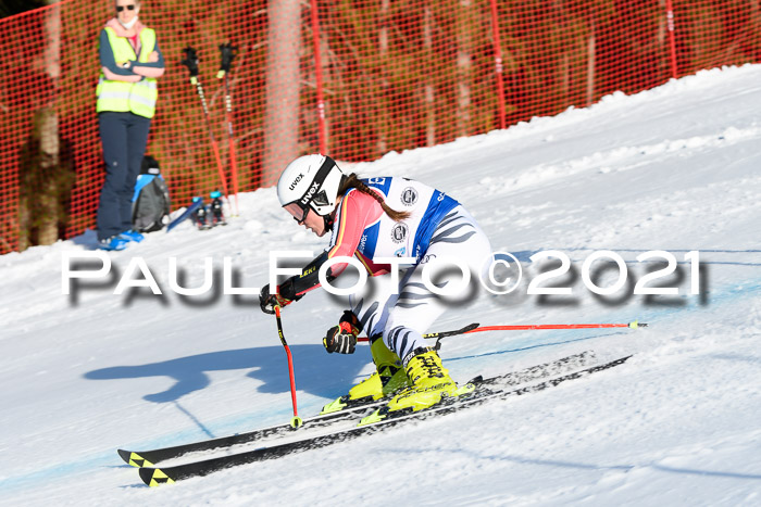 Deutsche Meisterschaft Team PSL Gudiberg 23.03.2019