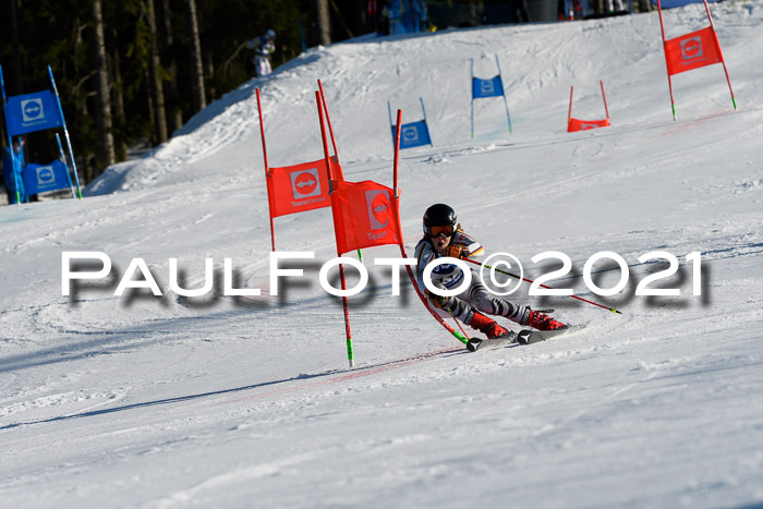 Deutsche Meisterschaft Team PSL Gudiberg 23.03.2019