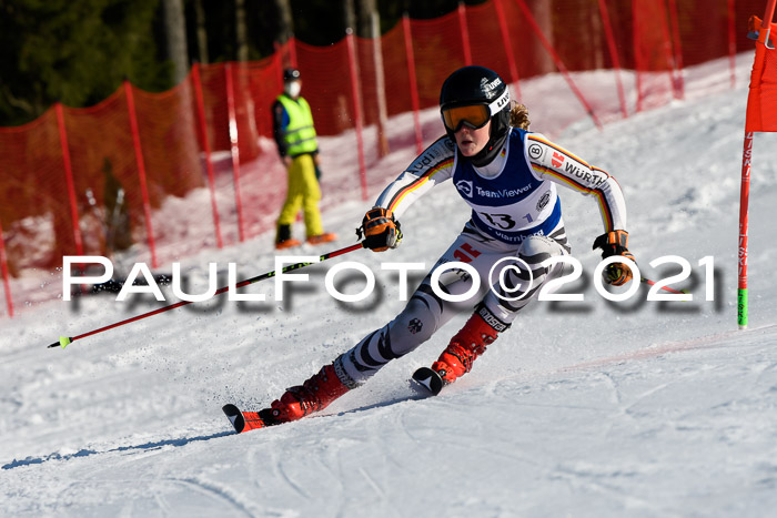 Deutsche Meisterschaft Team PSL Gudiberg 23.03.2019