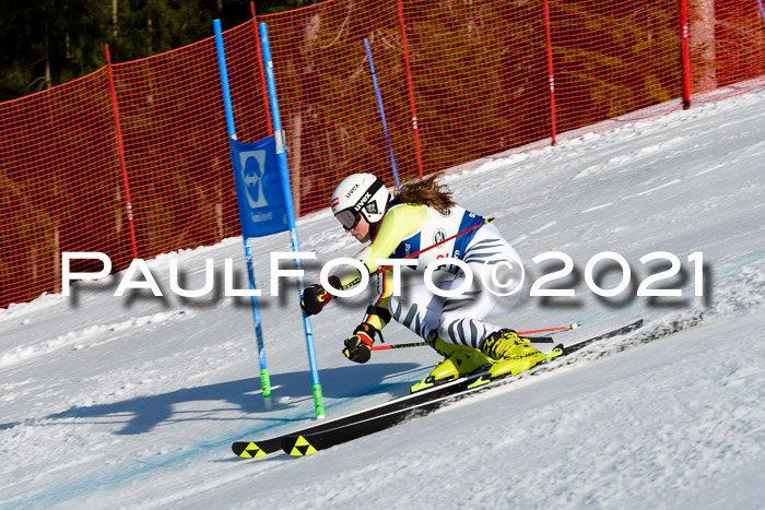 Deutsche Meisterschaft Team PSL Gudiberg 23.03.2019